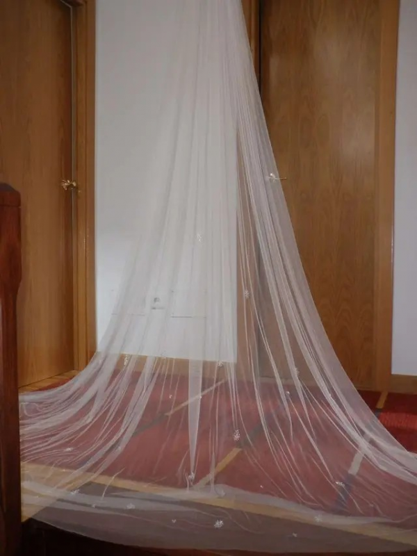Velo de novia. Pronovias. - Imagen 7