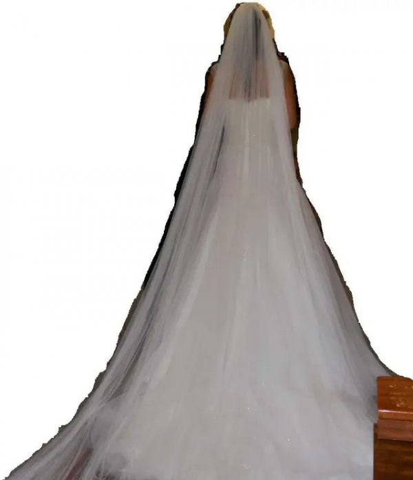 Velo de novia. Pronovias. - Imagen 5